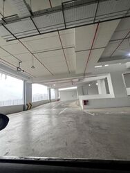 Ct Foodnex (D25), Factory #622089321